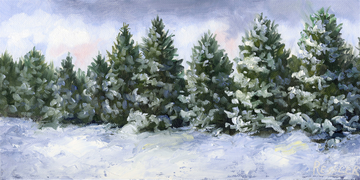 Row of Evergreens In The Snow